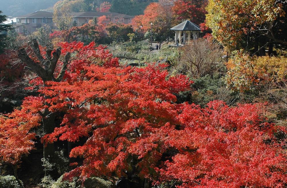 Suikoukan Hakone Exteriér fotografie