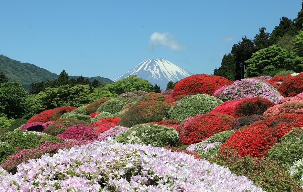 Suikoukan Hakone Exteriér fotografie