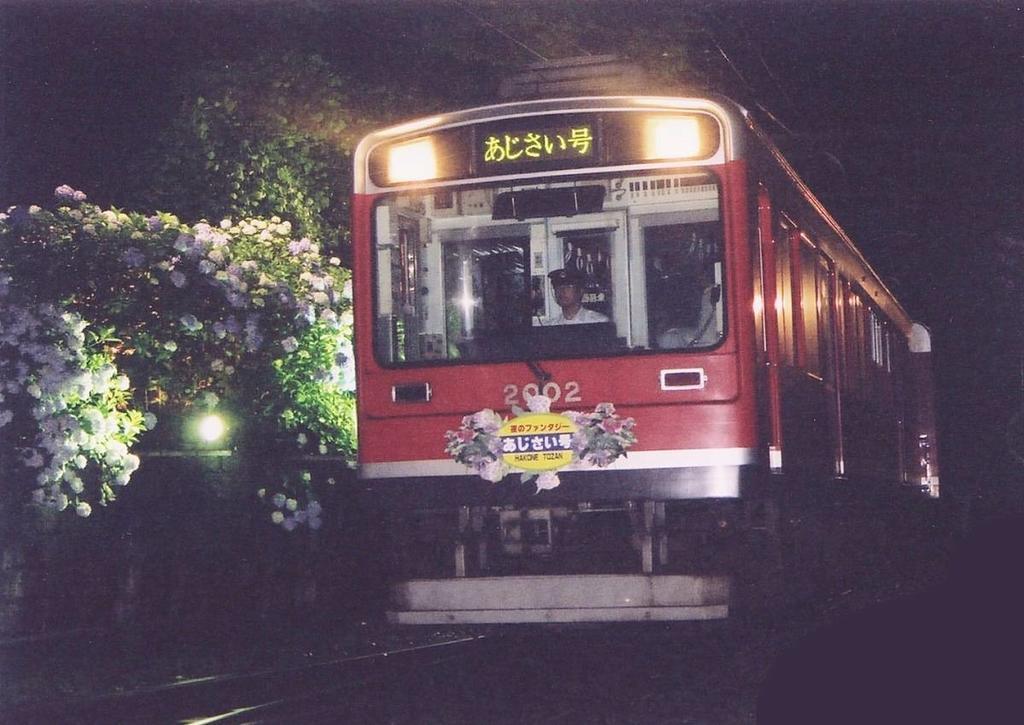 Suikoukan Hakone Exteriér fotografie